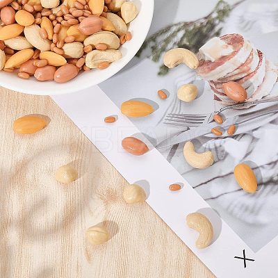 150G 5 Style Opaque Resin Imitation Nuts Ornaments RESI-CA0001-43-1