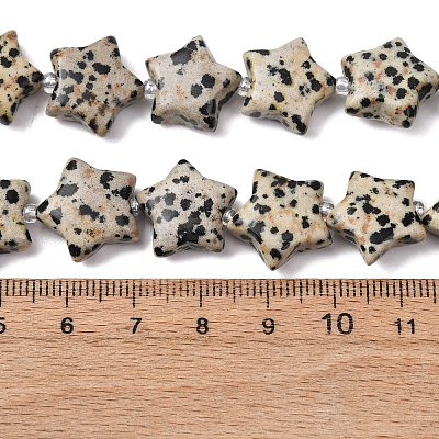 Natural Dalmatian Jasper Beads Strands G-K359-E12-1