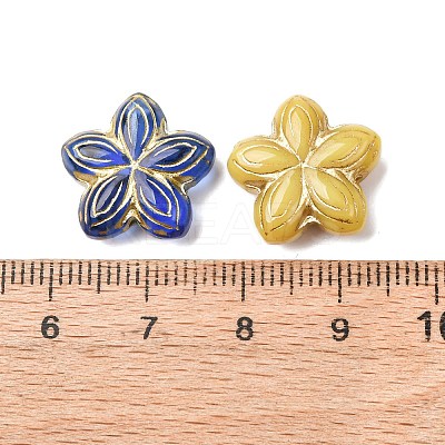 Handmade Lampwork Beads FIND-C076-06-1