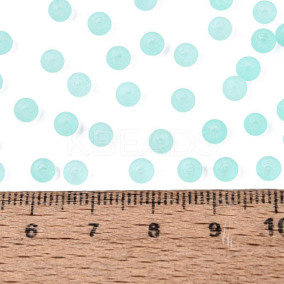 FGB Frosted Transparent Glass Seed Beads SEED-N013-02A-10-1