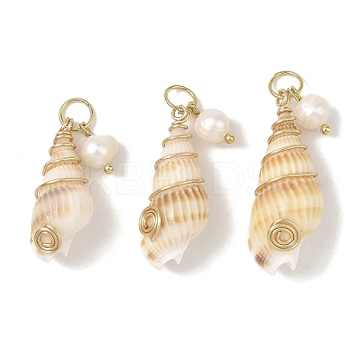Copper Wire Wrapped Natural Spiral Shell Pendants Pendants PALLOY-JF05972-02-1