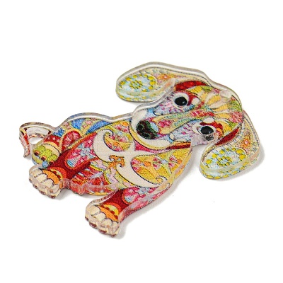 Animal Theme Double-sided Printed Acrylic Pendants OACR-L017-04D-1