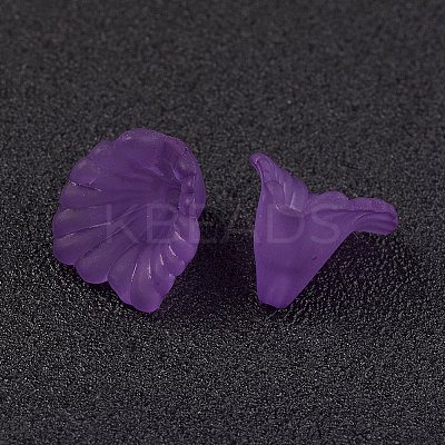 Transparent Acrylic Beads PL622-C01-1