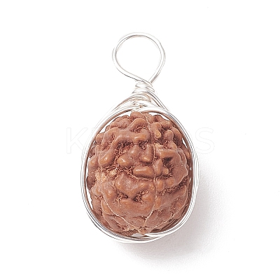 Natural Rudraksha Copper Wire Wrapped Pendants PALLOY-JF02066-01-1