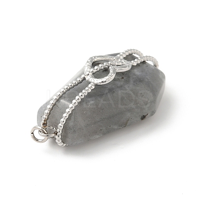 Natural Labradorite Pendants G-G870-09P-01-1