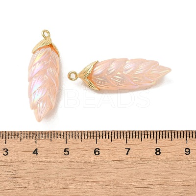 Rainbow Iridescent Plating Resin Pendants RESI-C047-03A-G-1