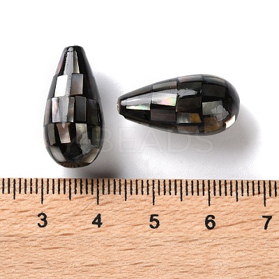 Natural Black Lip Shell Beads SSHEL-B002-10A-01-1
