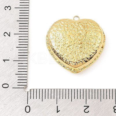 304 Stainless Steel with Acrylic Pendants STAS-Z199-11G-03-1