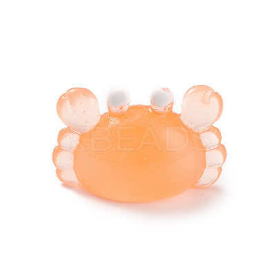Luminous Resin Sea Animals Display Decoration DJEW-R007-01D-1