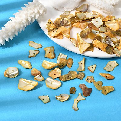 Dyed Natural Mother of Pearl Shell Nuggets Chips Beads BSHE-O007-10C-1