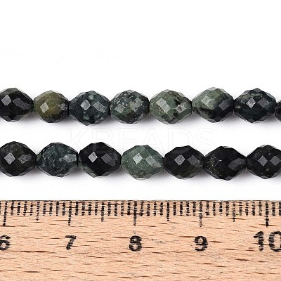 Natural Kambaba Jasper Beads Strands G-T142-86-1