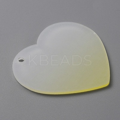 Gradient Transparent Acrylic Disc Big Pendants LS-FIND-WH0032-54F-1