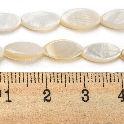 Natural Freshwater Shell Beads Strands BSHE-Z005-05-1