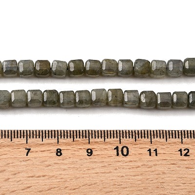Natural Labradorite Beads Strands G-F797-A09-01-1
