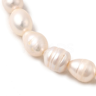 Natural Cultured Freshwater Pearl Beads Stretch Bracelets for Women BJEW-JB12302-1