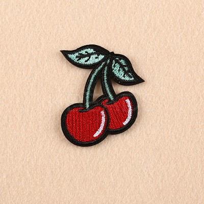 Computerized Embroidery Cloth Iron on/Sew on Patches DIY-F038-E10-1