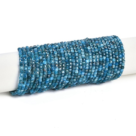 Natural Apatite Beads Strands G-P553-E03-02-1