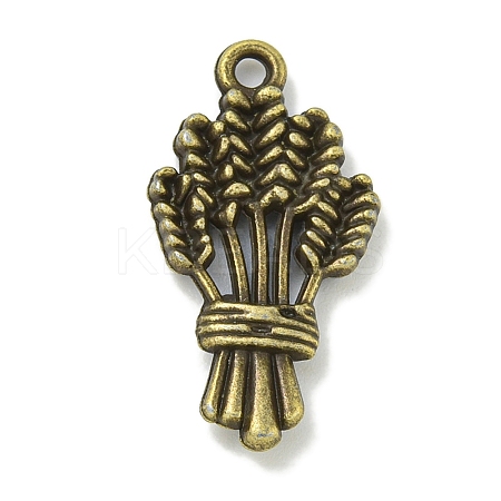 Tibetan Style Alloy Pendants TIBE-I026-6015AB-1