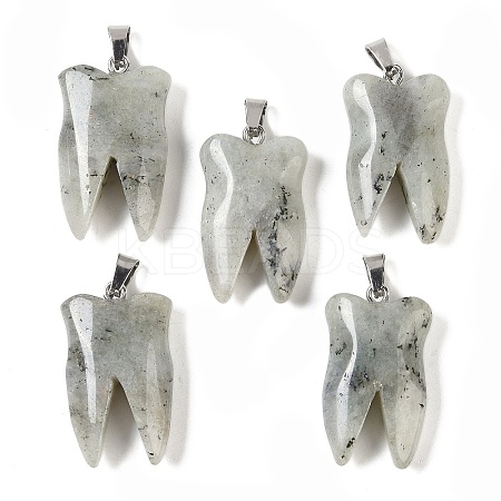 Natural Labradorite Pendants G-G115-01B-1