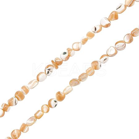 2 Strands Natural Trochid Shell/Trochus Shell Beads Strands SSHEL-FH0001-11-1