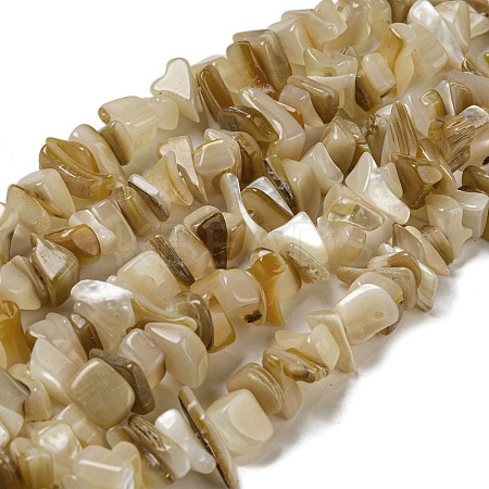 Natural Yellow Shell Beads Strands SSHEL-H072-05-1