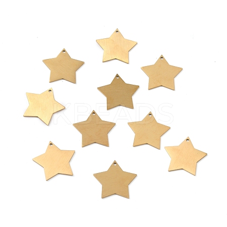Ion Plating(IP) 304 Stainless Steel Pendants STAS-F271-04D-G-1