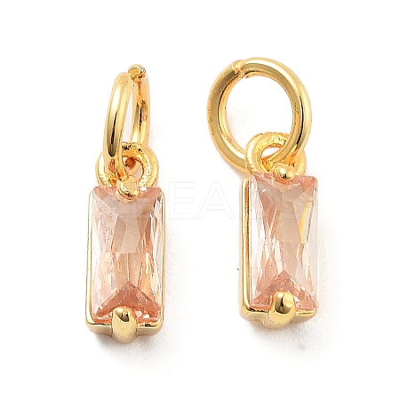 Brass Micro Pave Cubic Zirconia Charms ZIRC-F111-03G-11-1