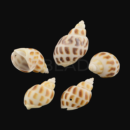 Spiral Shell Pendants SSHEL-R036-12-1