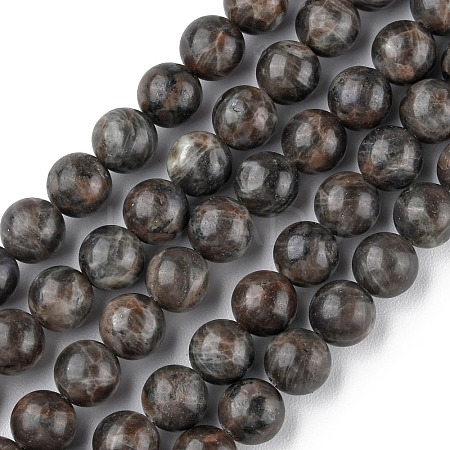 Natural Labradorite Beads Strands G-G0003-C03-10mm-1
