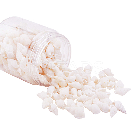 1 Box Spiral Sea Shell Dyed Beads and Charms with Holes for Jewelry Making 19-21mm Length BSHE-PH0001-01-1