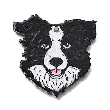 Printed Acrylic Pendants OACR-P033-01C-1