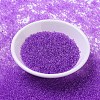 MIYUKI Round Rocailles Beads X-SEED-G007-RR1313-2