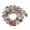 Natural Botswana Agate Beads Strands G-C116-A65-01-4