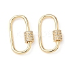 Brass Micro Pave Clear Cubic Zirconia Screw Carabiner Lock Charms KK-Z118-06G-05-1