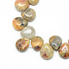 Natural Crazy Lace Agate Gemstone Beads Strands X-G-T005-09-1