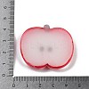 Luminous Resin Fruit Slice Display Decoration DJEW-B014-4
