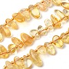 Heated Natural Citrine Beads Strands G-Z091-A10-2