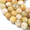 Natural Yellow Opal Beads Strands G-I213-18-10mm-5