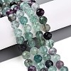 Natural Fluorite Beads Strands G-S345-8mm-31-2
