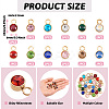 24Pcs 12 Colors Glass Rhinestone Charms STAS-TA0002-68-4