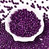 Opaque Baking Paint Glass Seed Beads SEED-T008-02U-2