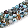 Dyed & Heated Natural Fire Crackle Agate Beads Strands G-N359-01A-04-2