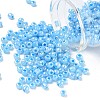 DIY Craft Beads 6/0 Ceylon Round Glass Seed Beads X-SEED-A011-4mm-143-1