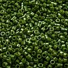Baking Paint Glass Seed Beads SEED-S042-05A-21-3