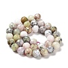 Natural African Opal Beads Strands G-K345-A03-03-3