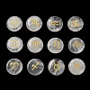 12 Constellation Natural Quartz Crystal Cabochons Set G-Q190-03C-2