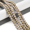 Natural Rainbow Alashan Agate Beads Strands G-NH0022-A02-01-2