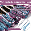 10 Skeins 6-Ply Polyester Embroidery Floss OCOR-CY0002-99C-2
