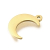 304 Stainless Steel Charms STAS-U027-10G-04-2
