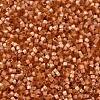 MIYUKI Delica Beads X-SEED-J020-DB1804-3